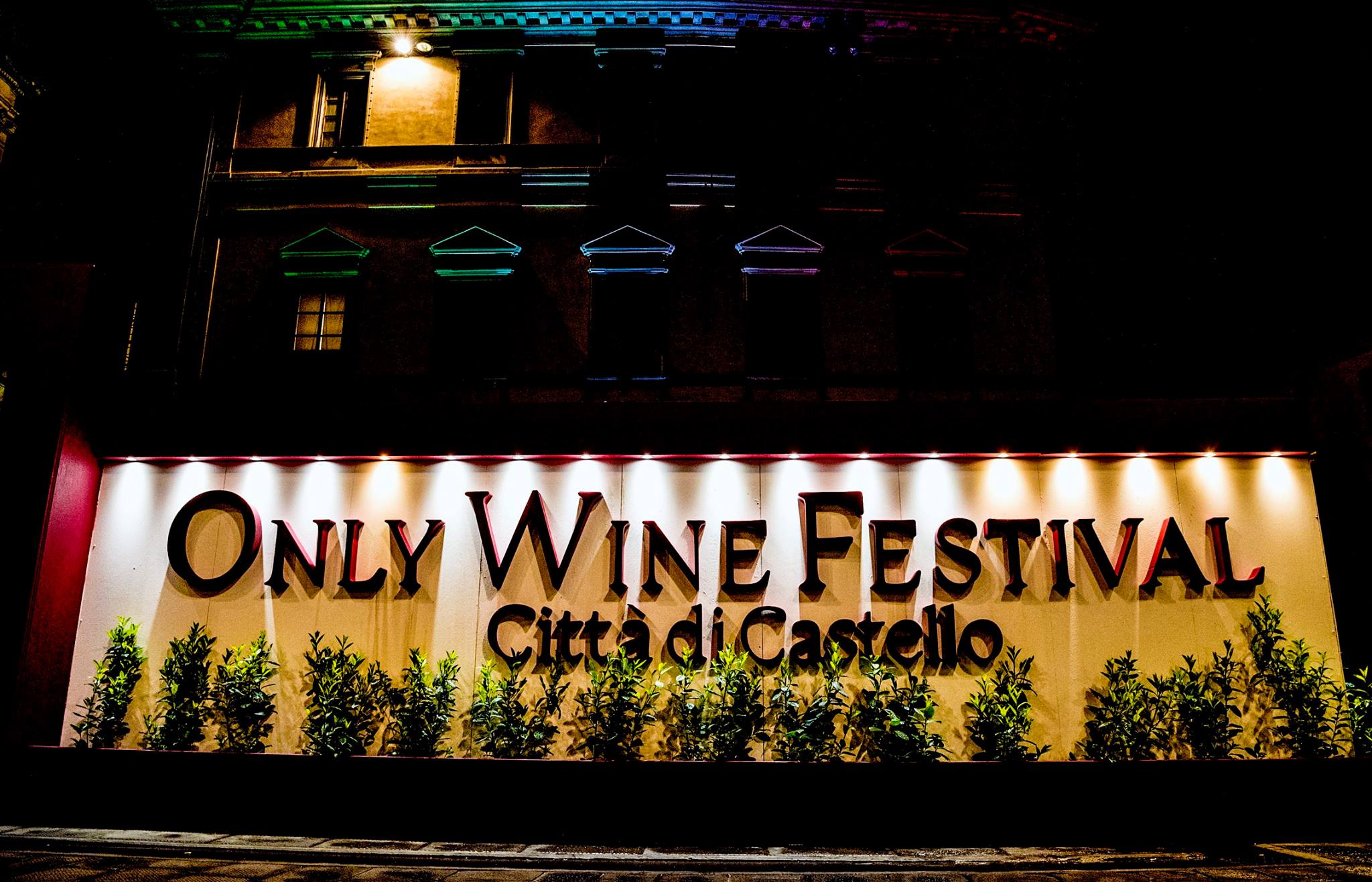 only wine festival