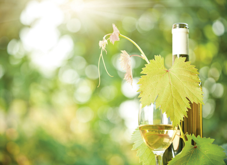 vignaioli artigiani naturali