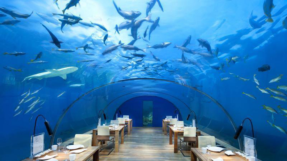 This-is-the-worlds-weirdest-and-quaint-restaurant-दुनिया के सबसे अजीब This-is-the-worlds-weirdest-and-quaint-restaurant-दुनिया के सबसे अजीब