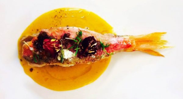 artemisia bistrot piatto