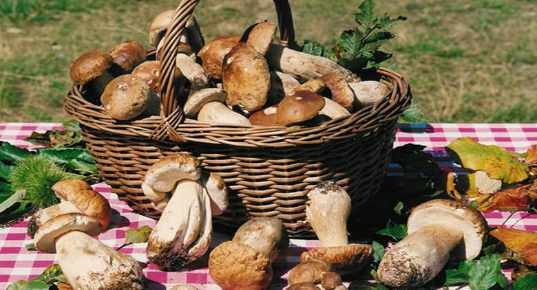 sagra dei funghi porcini oriolo romano