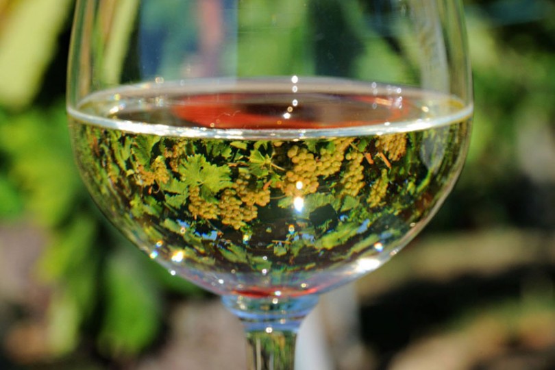 festa del vino vignanello