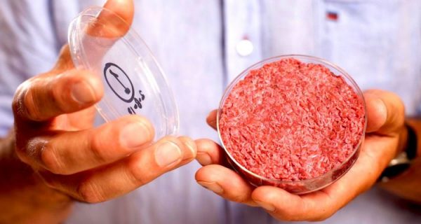 carne sintetica