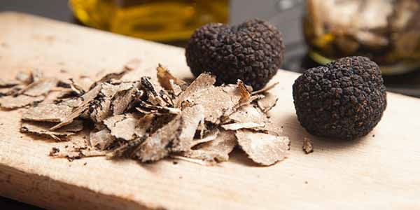 festa nazionale del tartufo