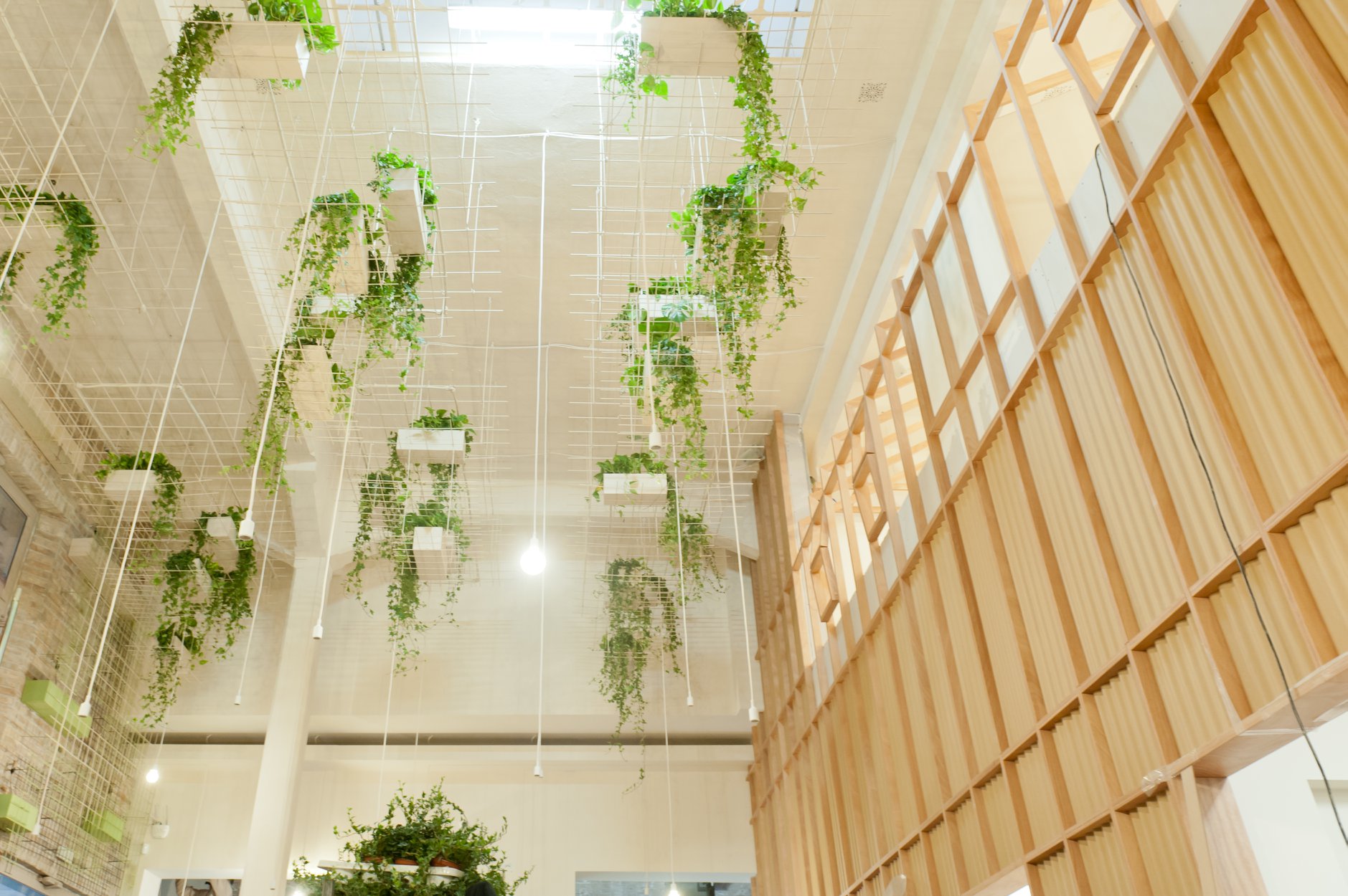 bio's kitchen bologna