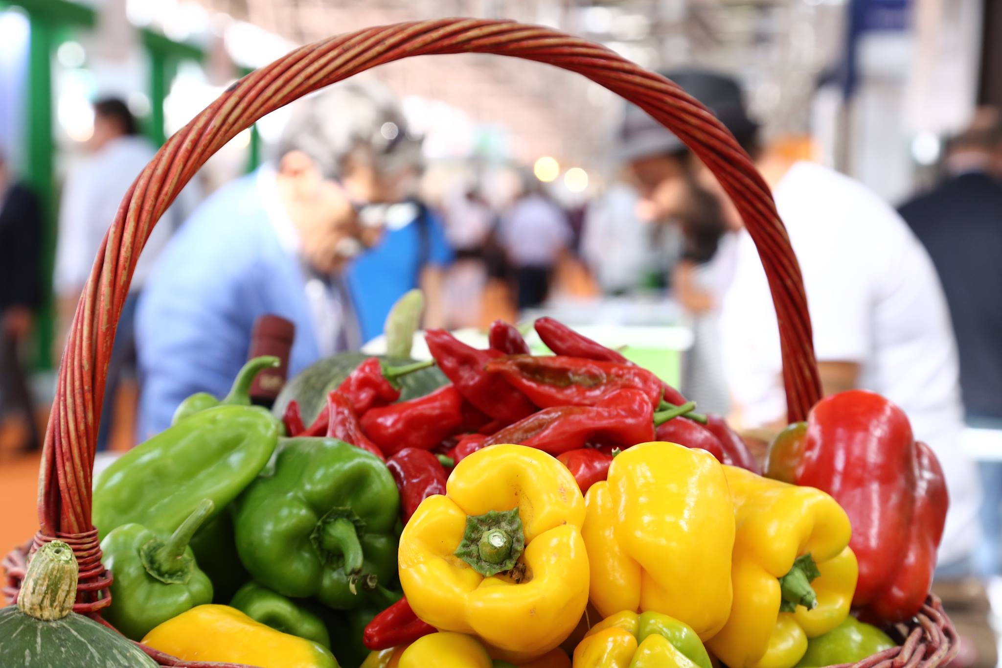 sana bologna settembre 2018