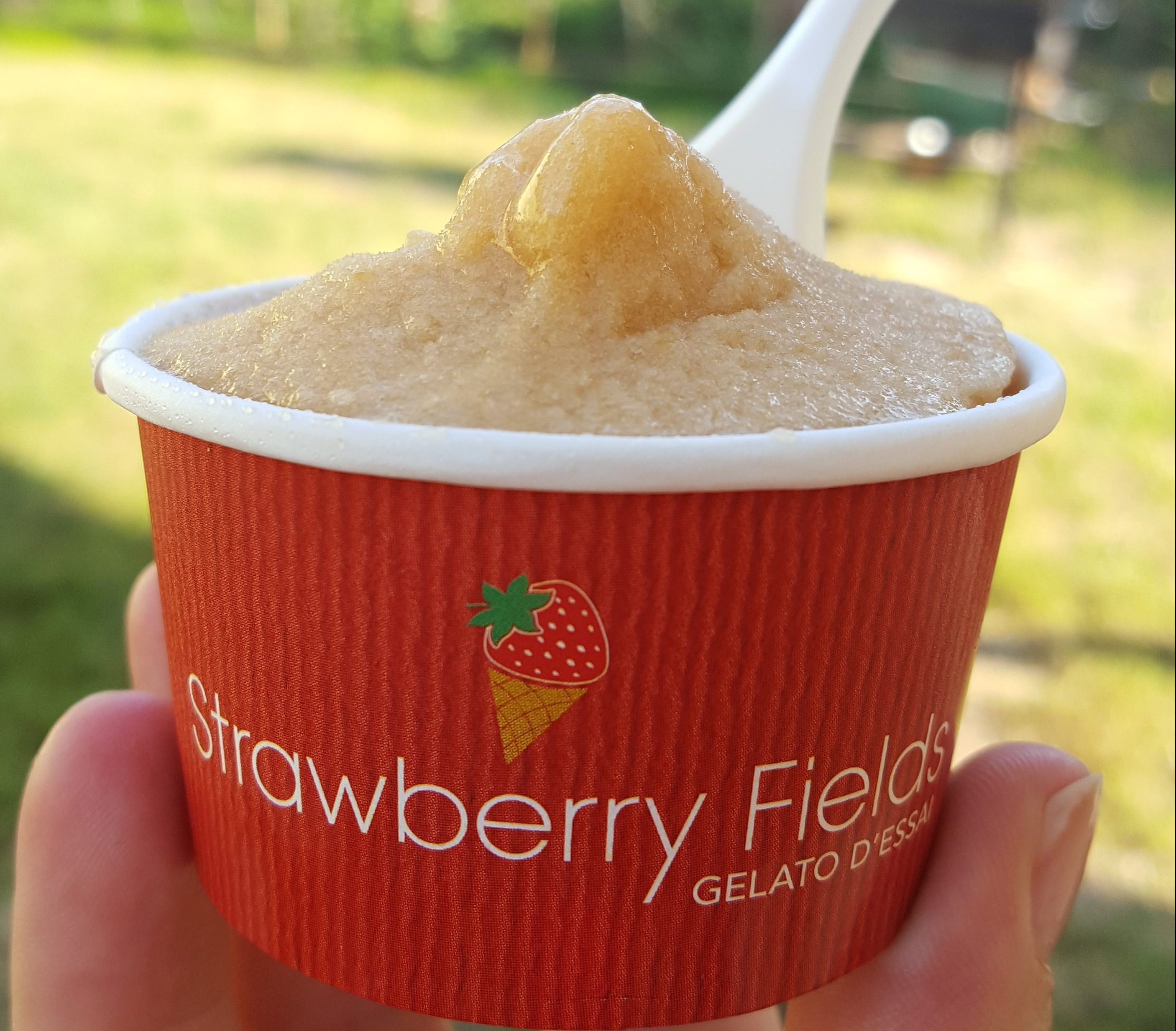 strawberry fields geppy sferra