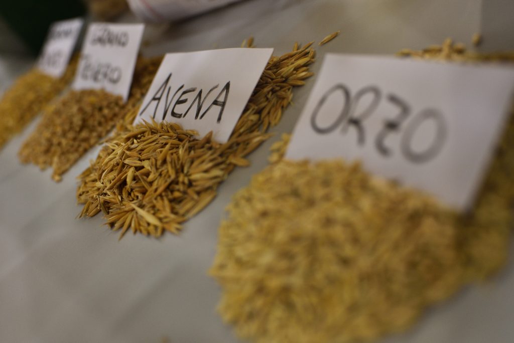 mercato mediterraneo