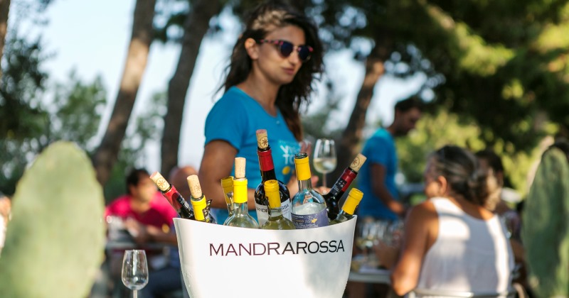 mandrarossa vineyard tour