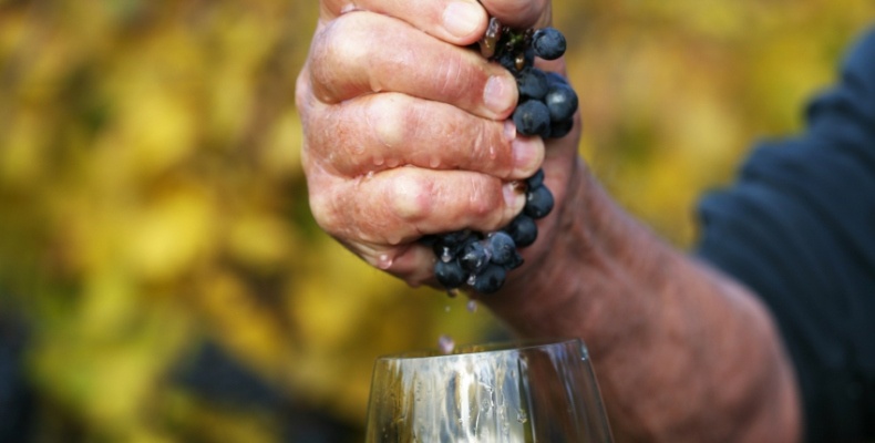 vini naturali