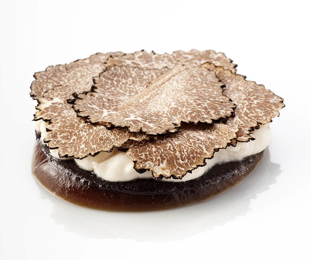 foto Brambilla Serrani