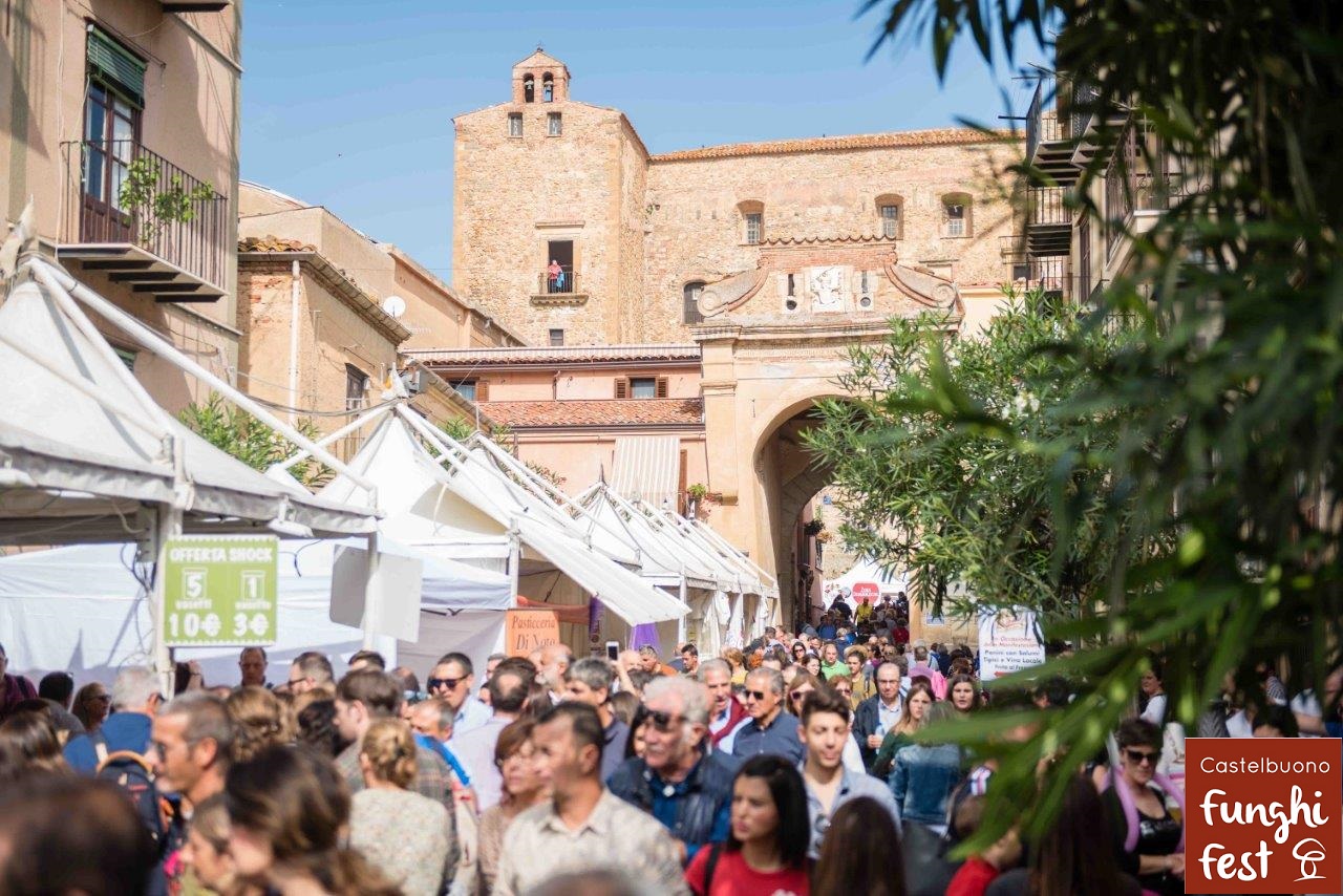 Funghi fest