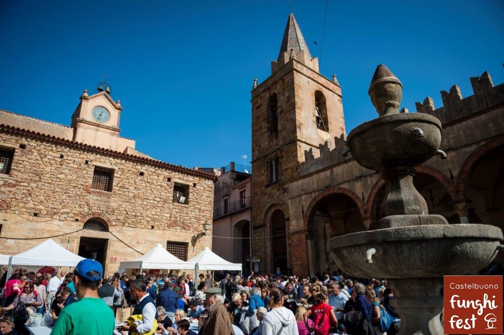Funghi fest