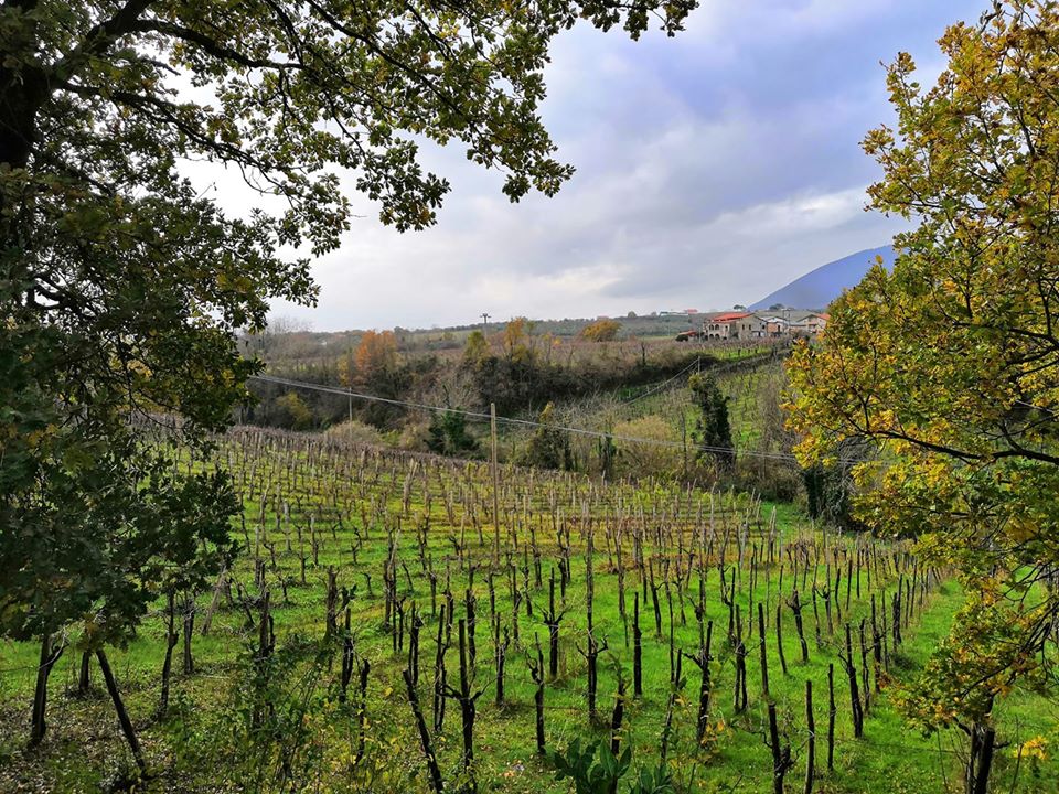 podere veneri vecchio