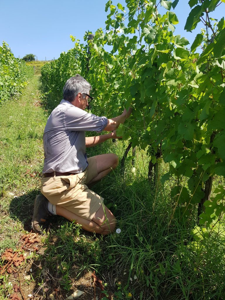 Podere Santa Felicita