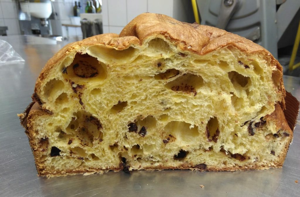colomba
