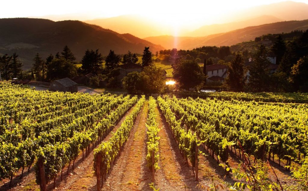 terapia del paesaggio