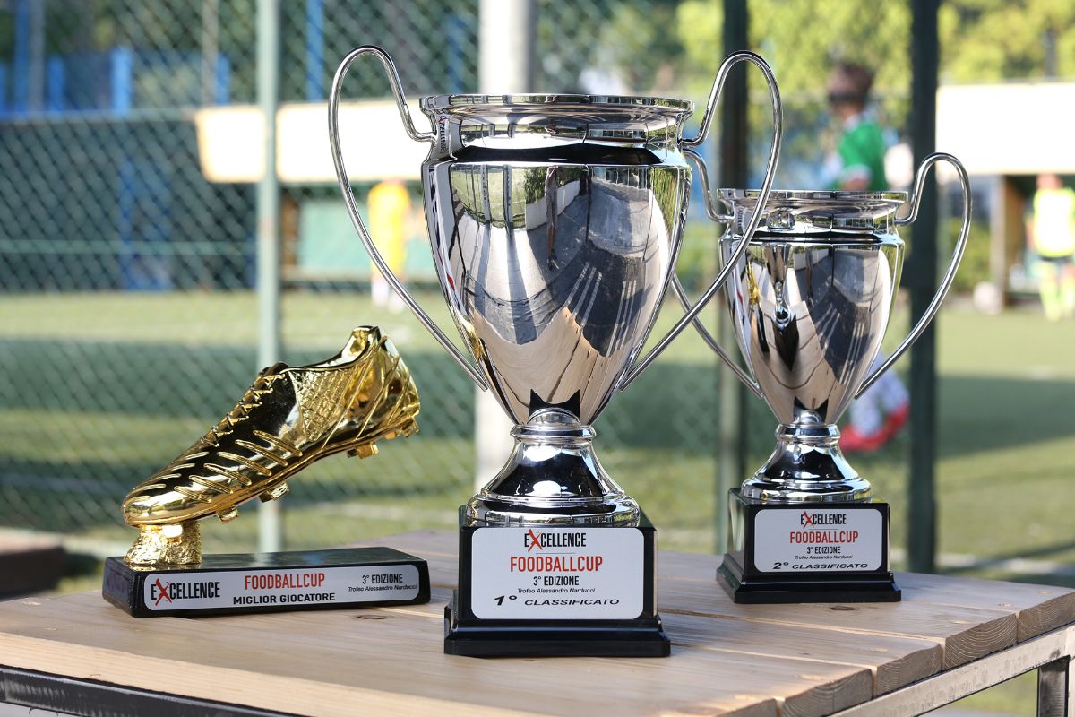 excellence foodball cup