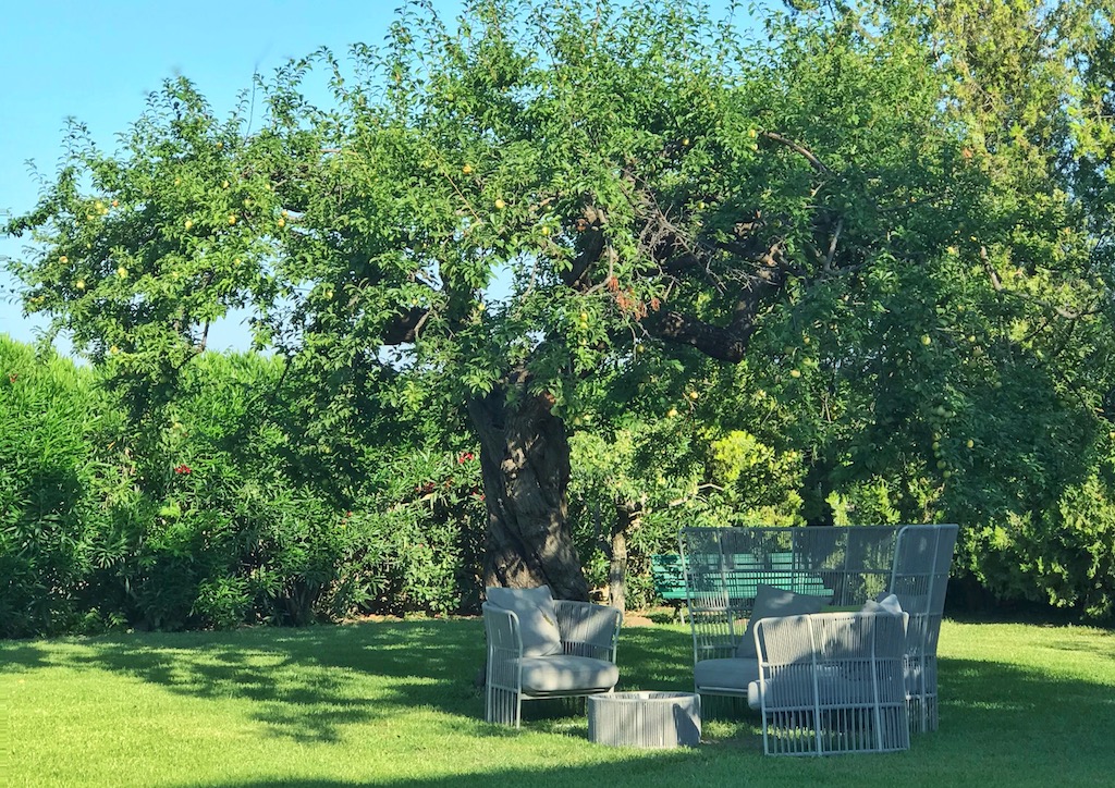 tenuta duca marigliano