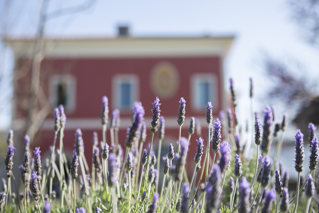 tenuta duca marigliano