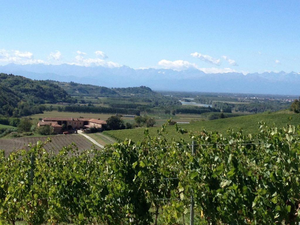 cantine aperte in vendemmia