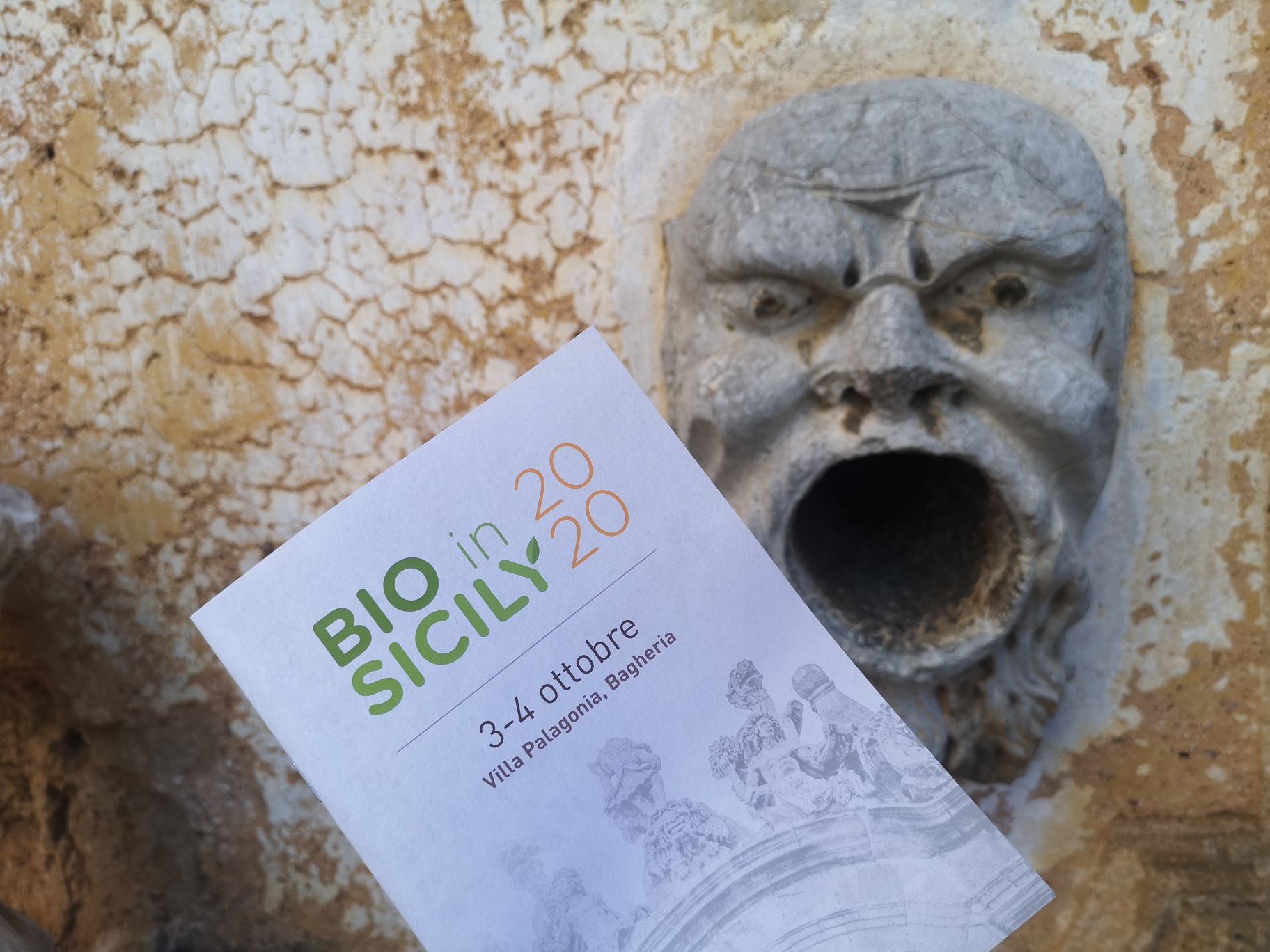 bio in sicily 2020