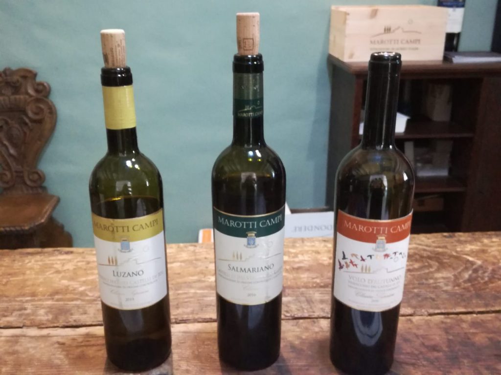 verdicchio marotti campi