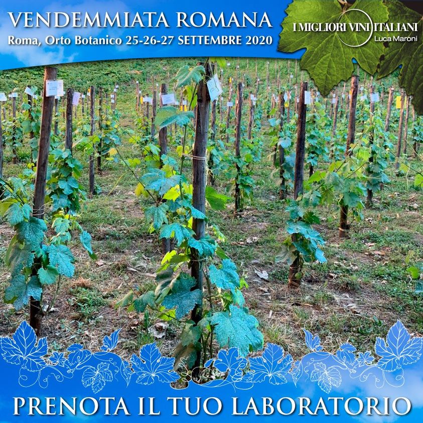 vendemmiata romana