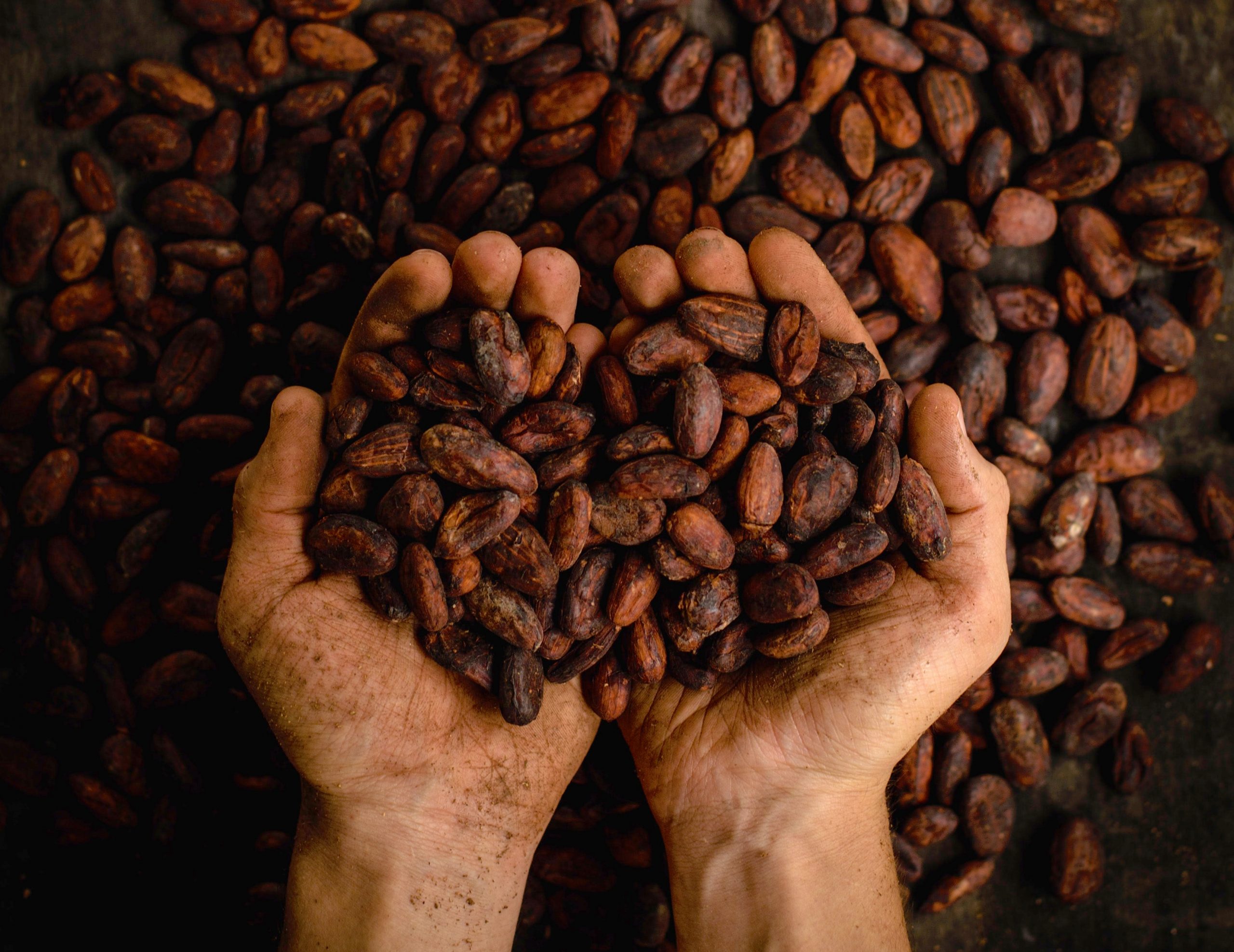 Pablo Merchán Monte