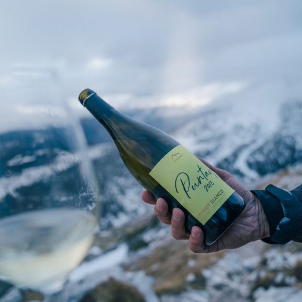 10 vini per la grigliata