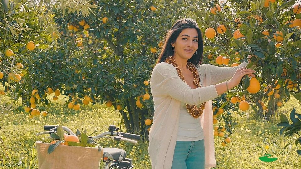 sicilia degli agrumi