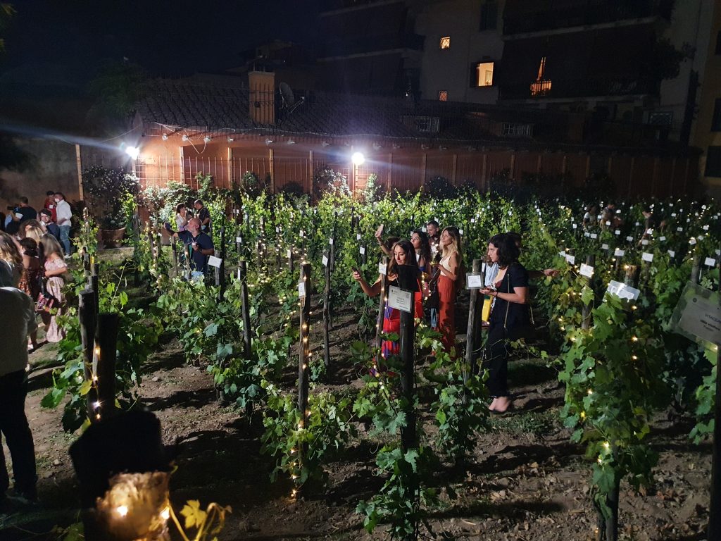 vendemmiata romana 2021