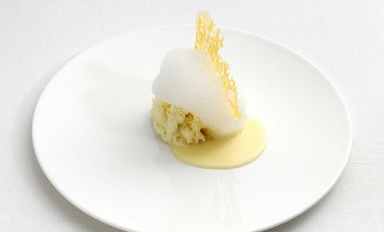 parmigiano reggiano