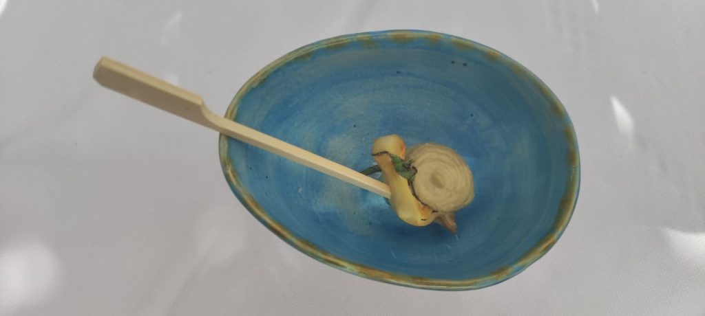 carciofo spinoso di menfi