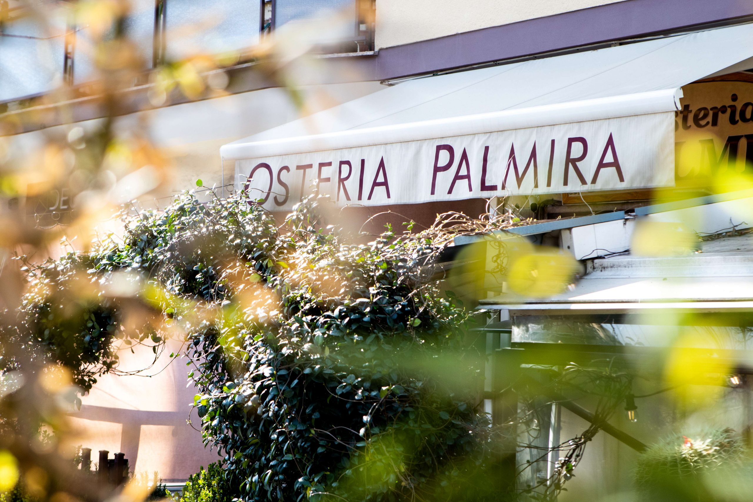 osteria palmira