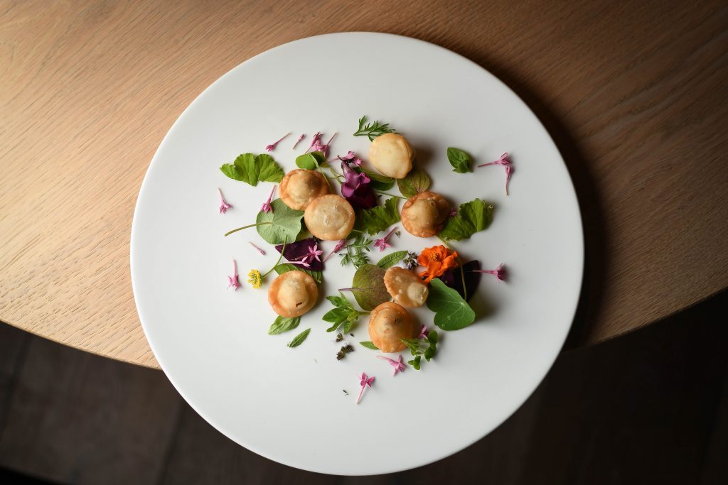 Lumaca nel prato - Credits Benedetta Bassanelli