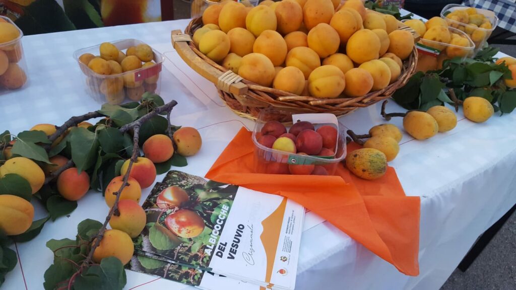 festival della bellezza vesuviana