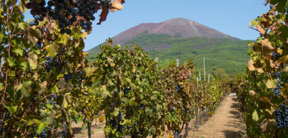 festival della bellezza vesuviana