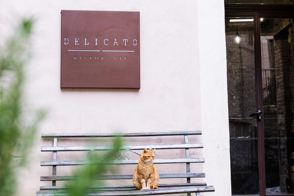 Delicato