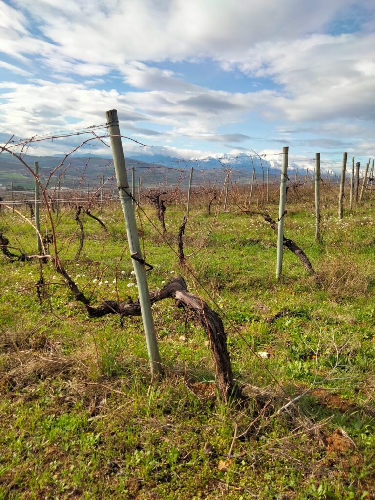 Colline Teramane