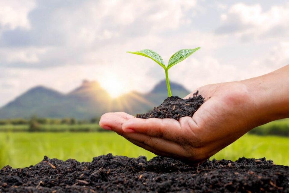 giornate dell'agricoltura