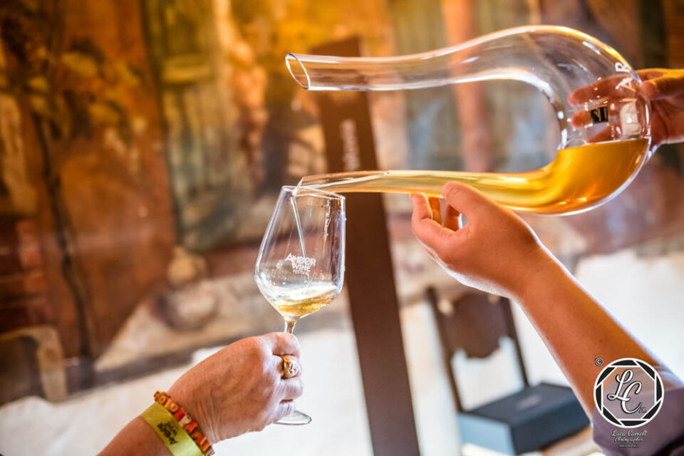 amber wine festival