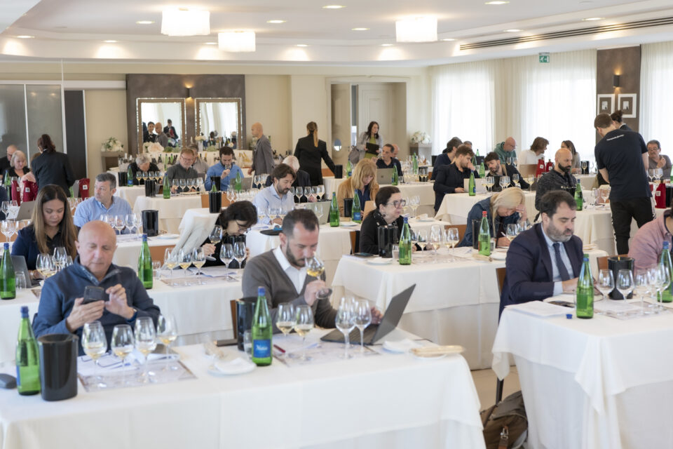 campania stories 2024