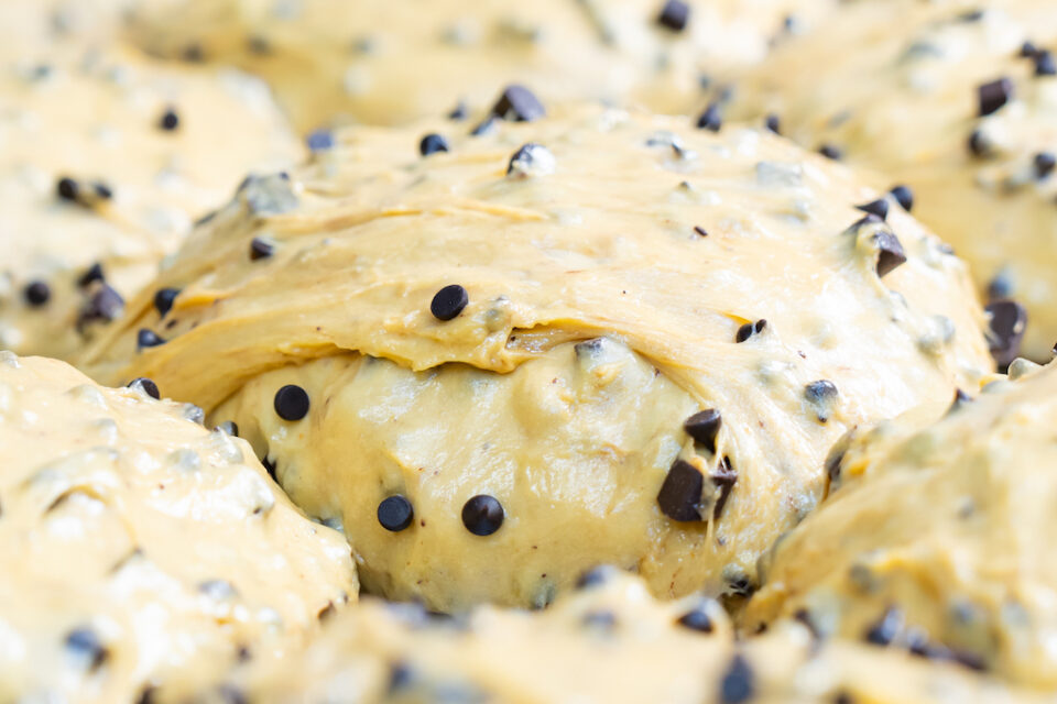 panettone artigianale