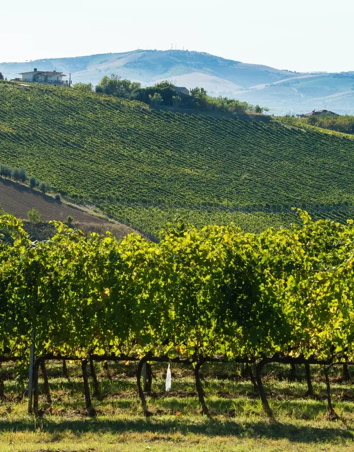 cantine aperte 2025