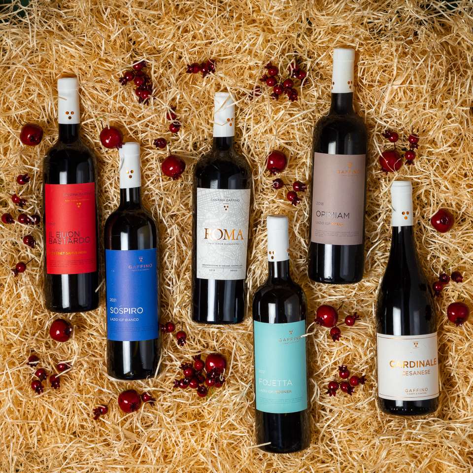 Degustazioni itineranti in vigna