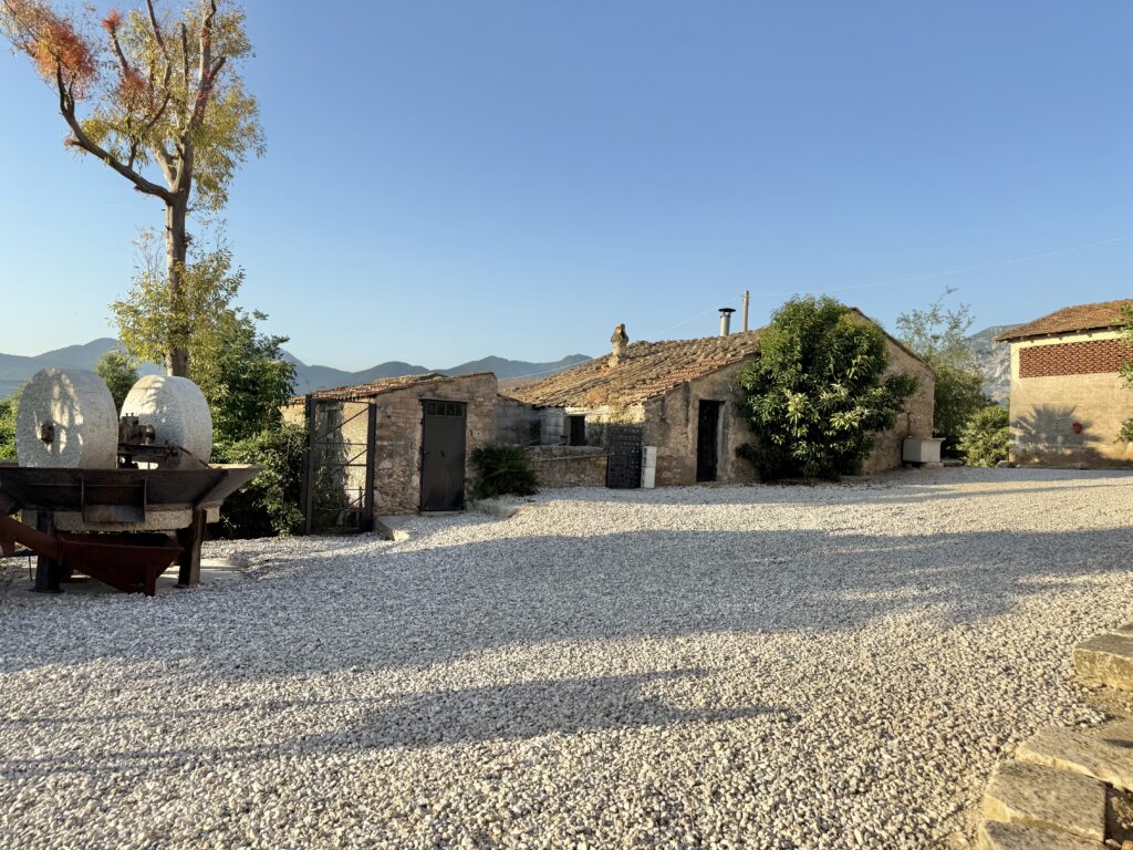 tenuta degli ulivi