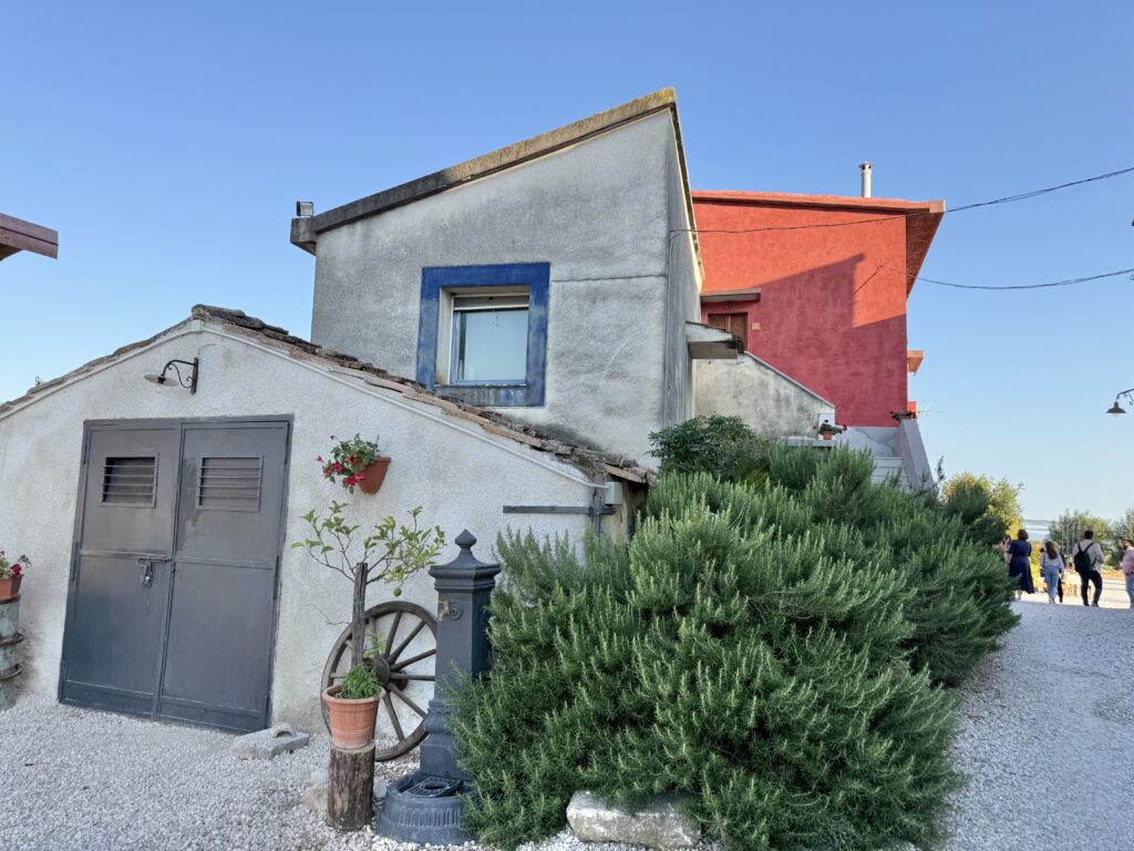 tenuta degli ulivi