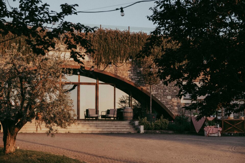 Degustazioni itineranti in vigna