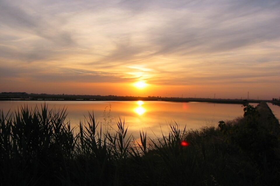 estate in emilia romagna